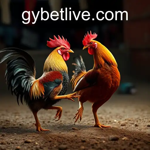 Gaming Experience gybet - 800+ Premium and Exclusive Games